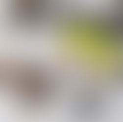 Heal Your Gut & Supercharge Your Health with Probiotics