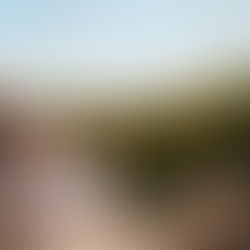 Simple Tips for Healthy Living