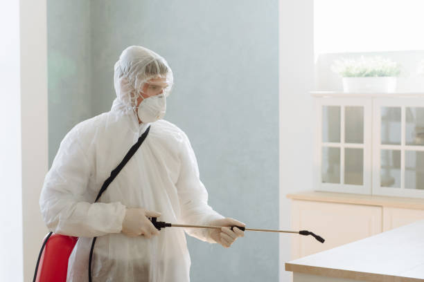 pest removal in Regina
