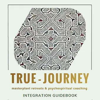True-Journey Integration Guidebook /Course