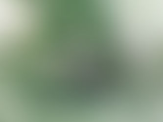 “うつくしい睡眠時間”をととのえるスパ音楽|CROIX HEALING新作『SPA Blissful Time』で静かな夜を