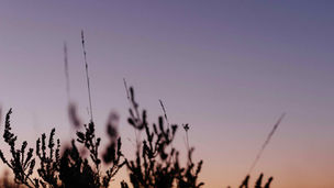 ピアノと自然音で穏やかな音の風景を描いたClassy Moonの最新アルバム。遠くに置かれた記憶のページをテーマにした『Distant Pages』、1月16日より各音楽配信サービスで配信開始。