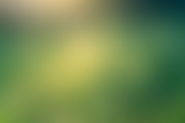 特集：コロナ禍に負けない体づくりを