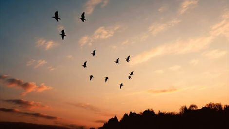 小さなメンタルリセットを生む新しい朝の音。癒やしを届けるClassy Moon新作『Tomorrow Begins in Silence』明日は静寂の中で始まる