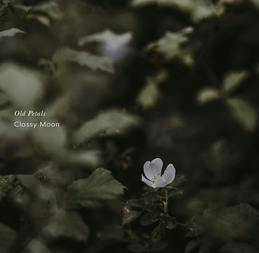 Old Petals
