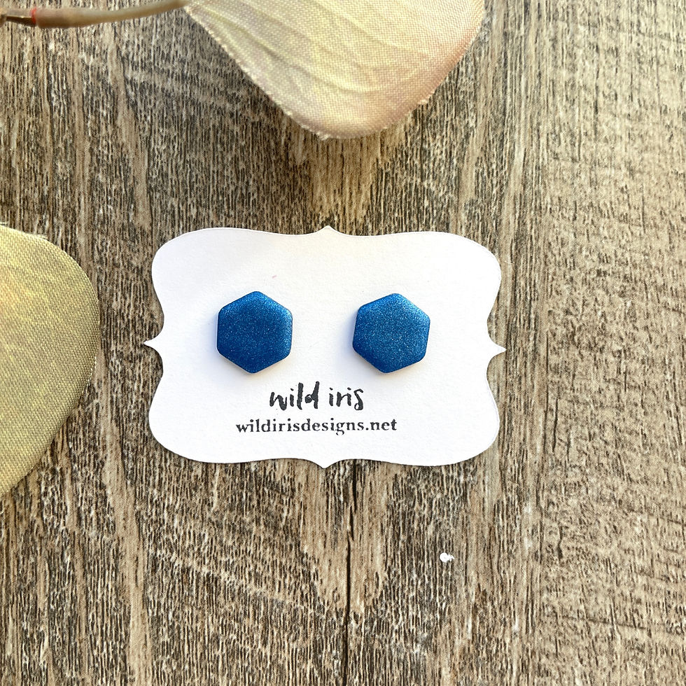 Thumbnail: Jewel Toned Clay Studs