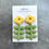 Thumbnail: Mod Floral Collection