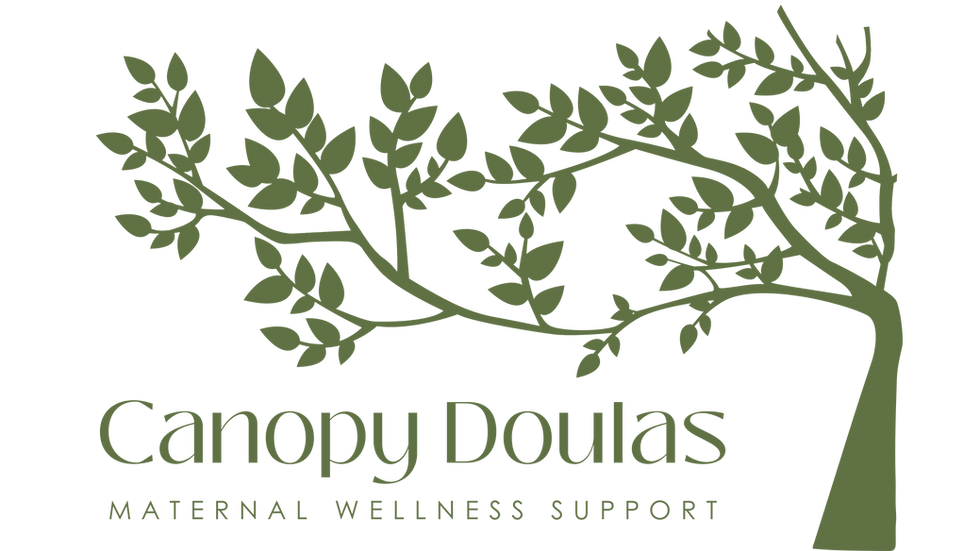 Doula in Fort Worth Texas Dallas