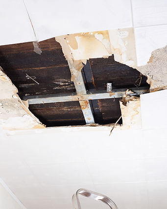 JJ’S DRYWALL & PAINTING + GENERAL CONTR. (28).jpg