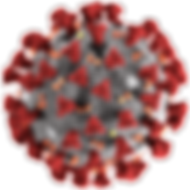 covid 19 image.png