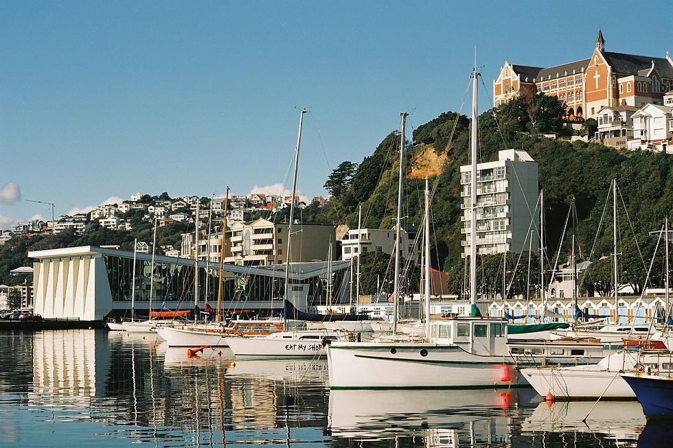 Oriental Bay Wellington New Zealand