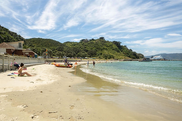 karaka bays wellington new zealand