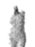 Screen Shot 2020-02-11 at 4.53.01 PM.png