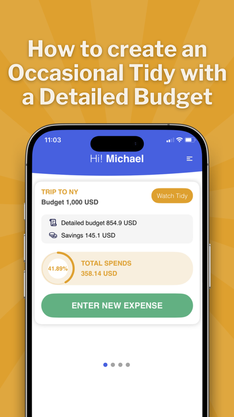 Tutorial: How to create an Occasional Tidy with a Detailed Budget
