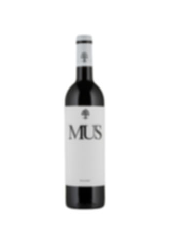 Vino tinto Mus Malbec