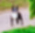 2CA1D7D2-24B1-4B4B-89A8-4C548D8C1B74_edited.jpg