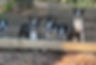 9B3E0EC6-A63C-4640-AC09-EE461F95B8FD_edited.jpg
