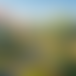 città con case moderne nella natura