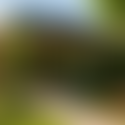 vista esterna di una casa moderna