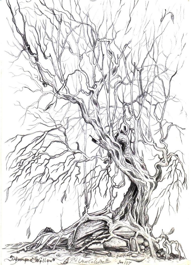 diamondwillow 7
