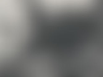 Cooked a WHOLE Cow over the WORLD’S LARGEST Smokeless Fire Pit!