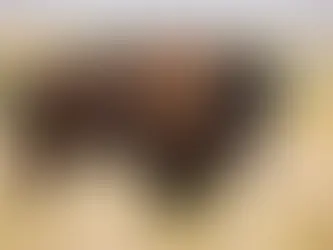 How To Skin A Bison, Ohio