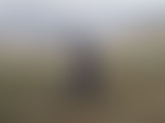 These Air Rifles are as Powerful As A 22, Will it Replace Rimfire?