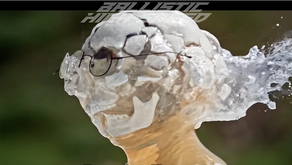 Testing The Assassination Attempt of Donald Trump