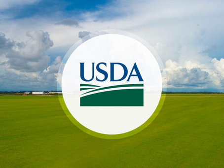 USDA Launches Great American Cotton Plan to Revitalize the Cotton Farm Economy