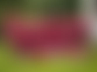 BEST annab tulevikuks tuule tiibadesse – Artjomi lugu