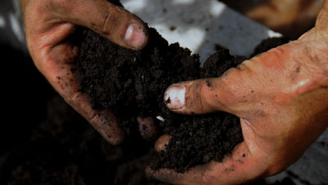 Supersoil : génétiques rempotage fabrication entretien protection et prévention