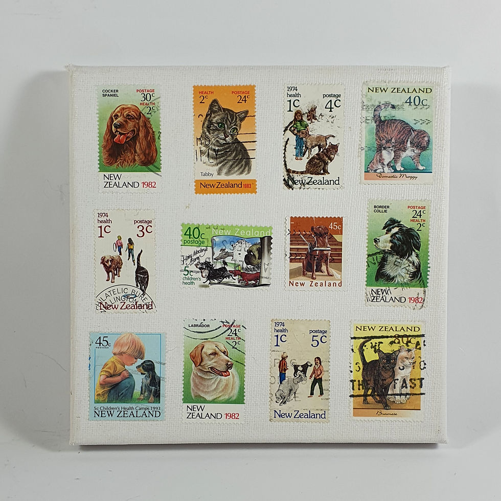 Canvas - Cats & Dogs (Small)