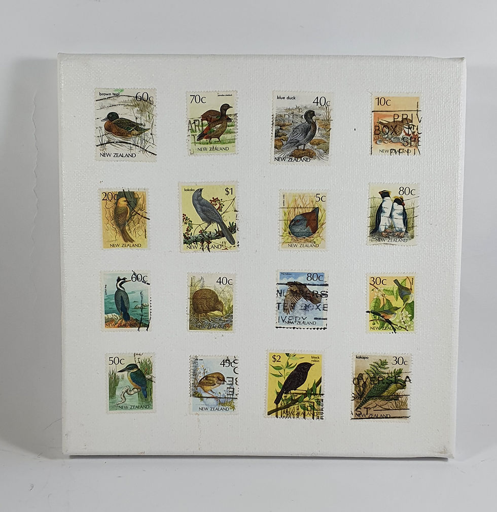 Canvas - NZ Native Birds (Set 1)