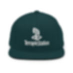 Thumbnail: TerrapinStation Hat