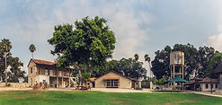 Menashe-Photograper Tal Badrak.jpg
