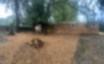 IMG_9193.jpeg