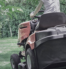 Lawn Mowing