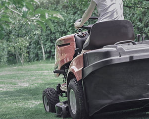 Lawn Mowing