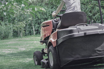 Pelouse verte et dense après tonte et fertilisation professionnelle à Liège et à Aix-en-Provence.