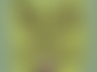 #NewAlbum: Homeboy Sandman - Nor Can These Be Sold (At Least By Me)