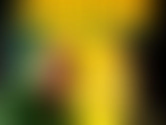 #NewReggaeAlbum: Sanchez - Jamdown