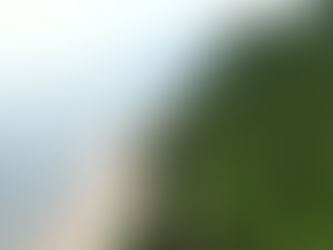 Parlons affaires durables