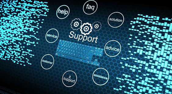 Fusion Surgical Camera System Remote Support