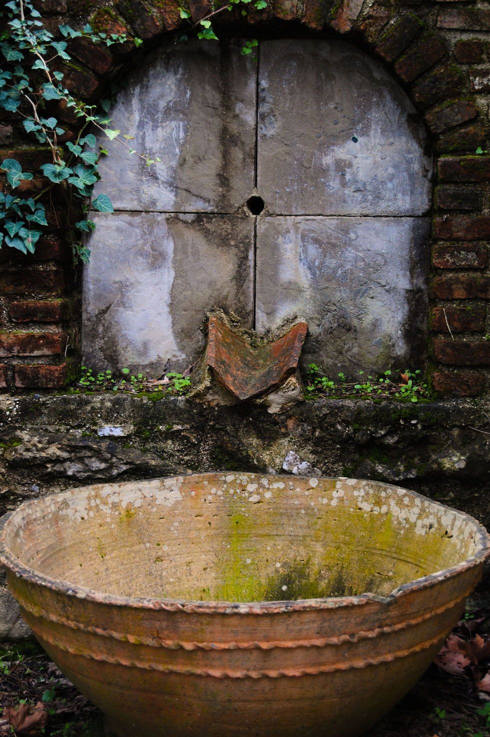 Old stone and brick fountain with carved spout and overgrown ivy. A large, weathered basin sits below, conveying a sense of rustic decay.