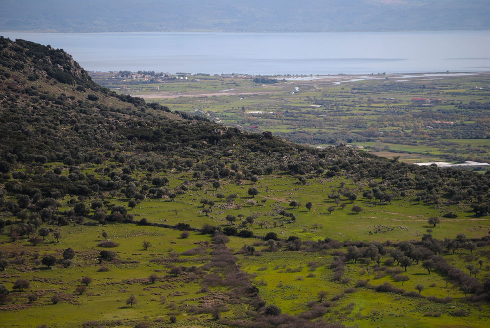 A vast green landscape with rolling hills, scattered trees, and dense foliage stretches towards a calm lake in the distance, under a clear sky.
