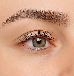 eyelash_lift_2.png