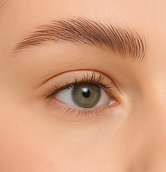 brow lamination.png
