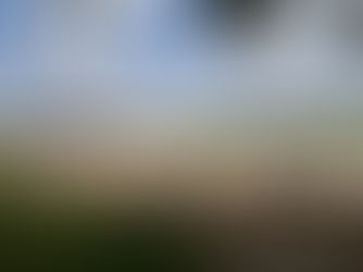 Powering Local Schools