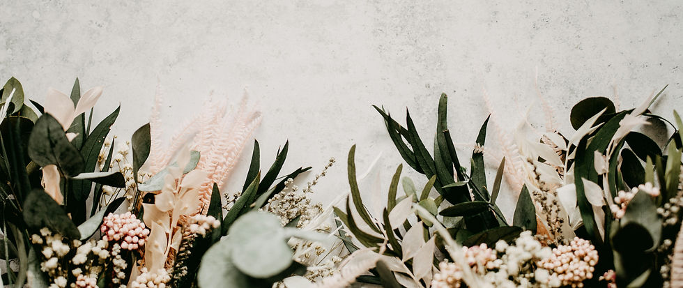 annie-spratt-_XdU9Q5iFRE-unsplash_edited_edited.jpg