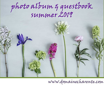 2019 - ENG - Foto voor fotoalbum en gast